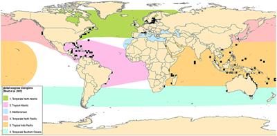 Frontiers | Toward A Coordinated Global Observing System For Seagrasses ...